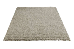Karpet TORRESANI 200x290 shell