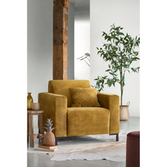 Fauteuil ALPA polyether zitting gold